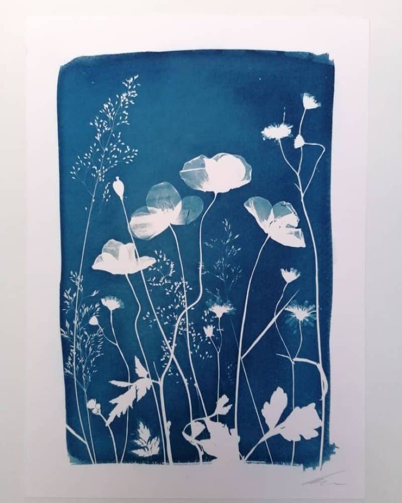 Illustration de l'événement : Expérience de Destination : je créé mon cyanotype avec les fleurs du Jardin Christian Dior