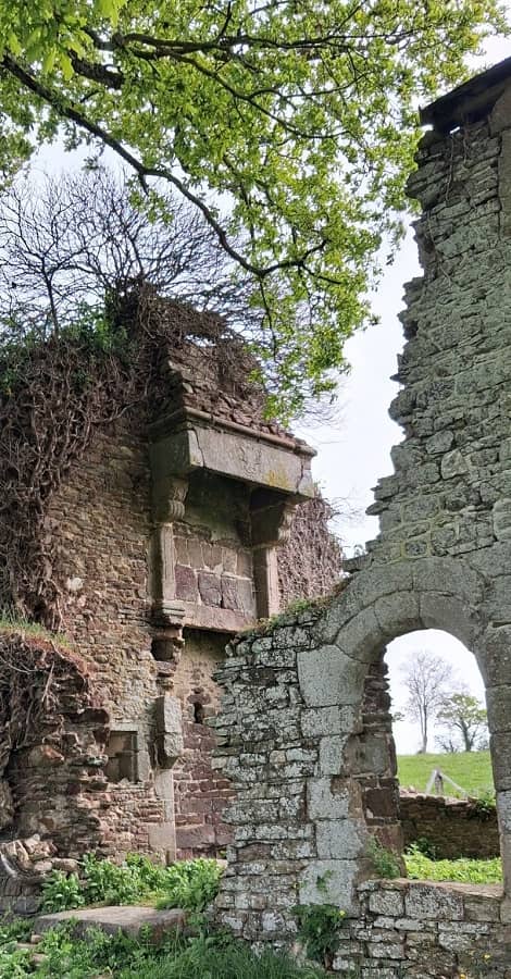 Illustration de l'événement : Journées Européennes du Patrimoine : visite guidée les Ruines de Guesclin