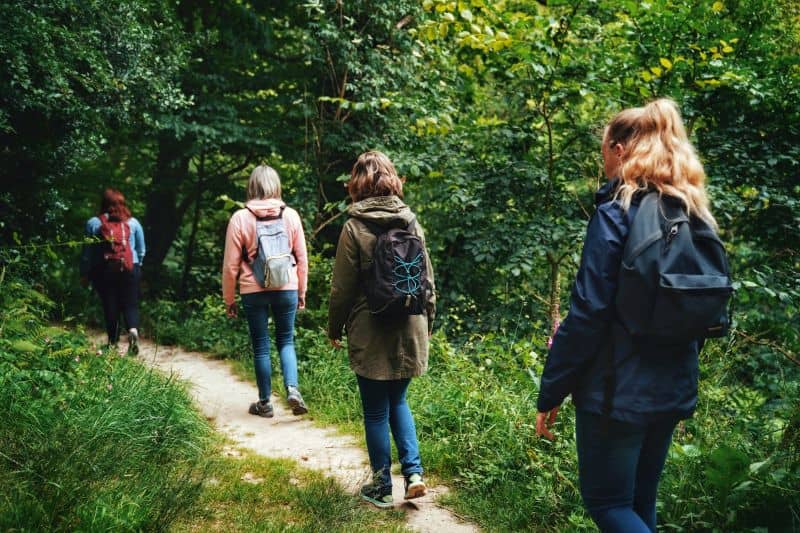 Illustration de l'événement : Expérience de Destination : J’éveille mes sens au cœur de la Forêt de la Lucerne
