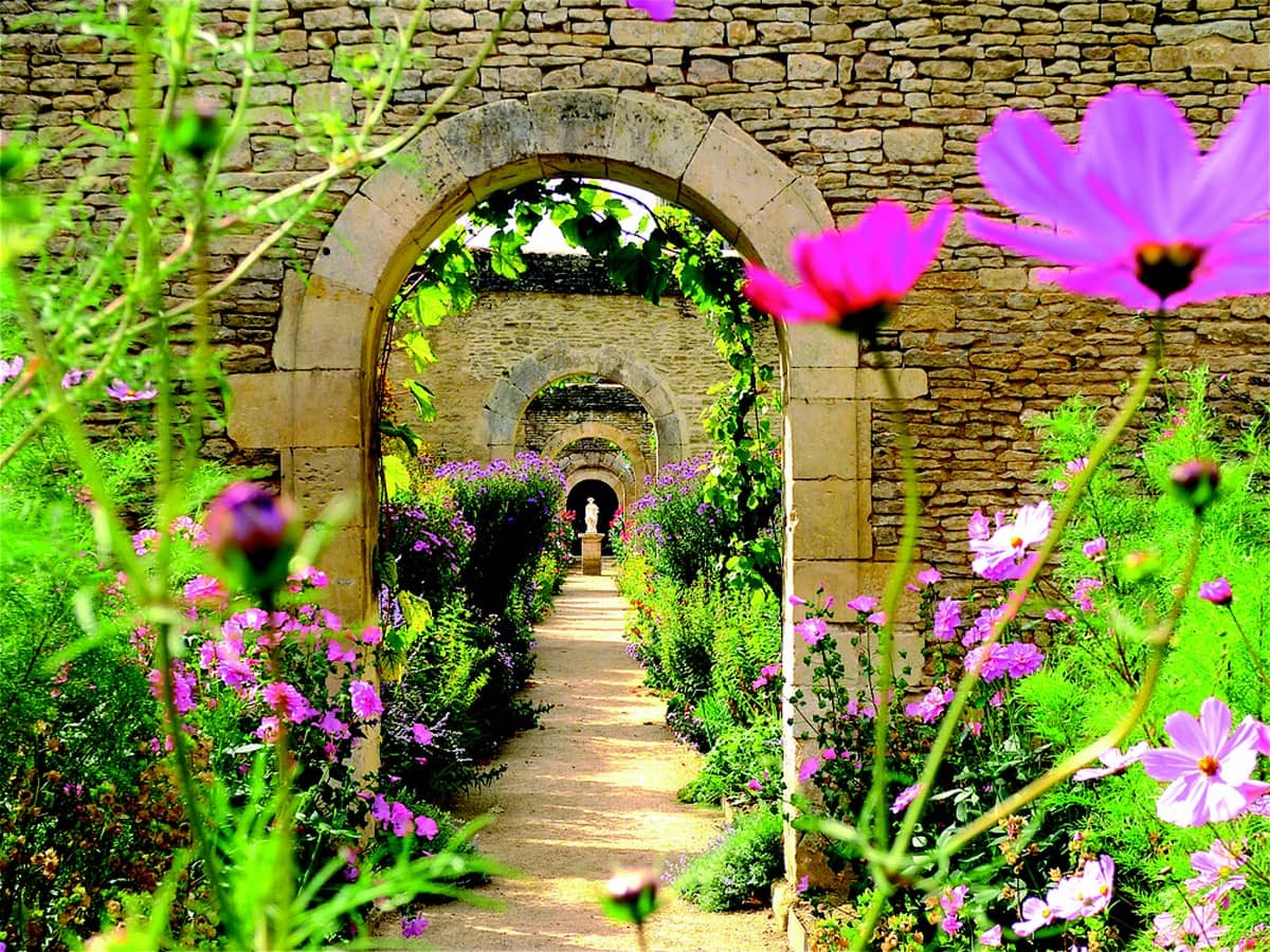 Illustration de l'événement : Fête de la rose et du jardin