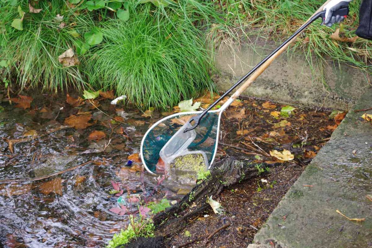 Illustration de l'événement : Atelier "À la pêche aux plastiques"