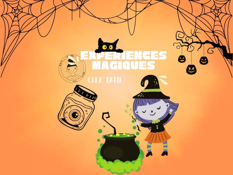 Illustration de l'événement : Chez Tatie : expériences magiques