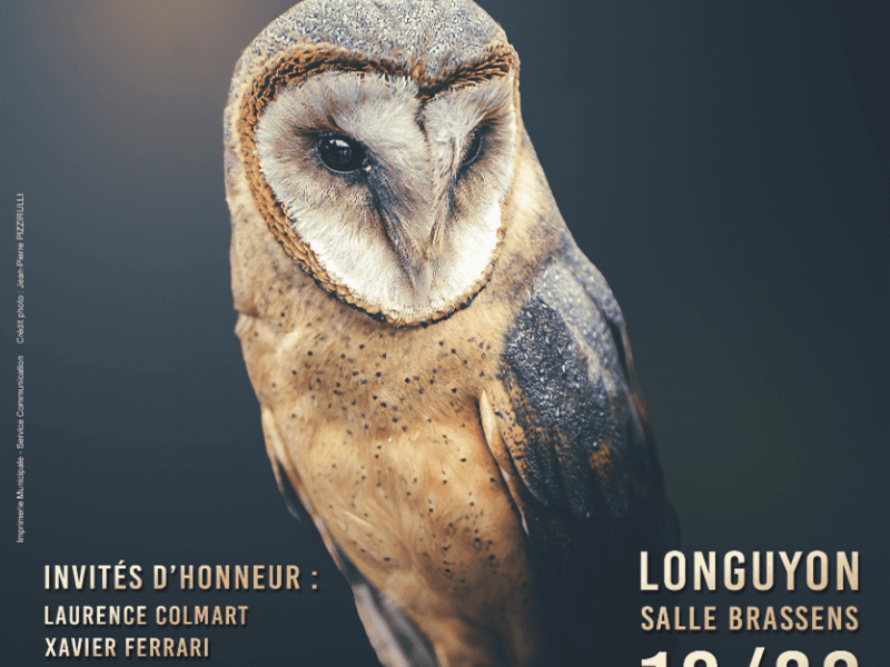 Illustration de l'événement : Salon de la photographie "Mille et un regards"