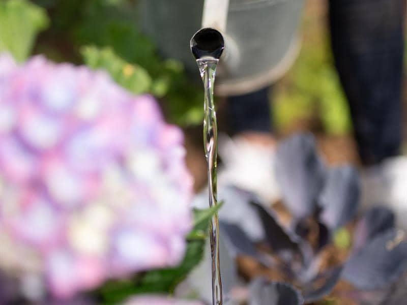 Illustration de l'événement : La balade des jardiniers
