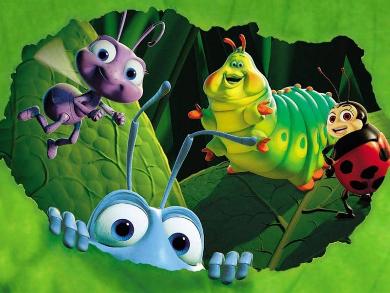 Illustration de l'événement : Ciné-nature 1001 pattes