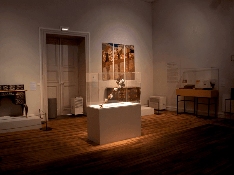Illustration de l'événement : Exposition - Beaux Gestes ! savoir-faire d’exception XVIIIe – XXIe s.