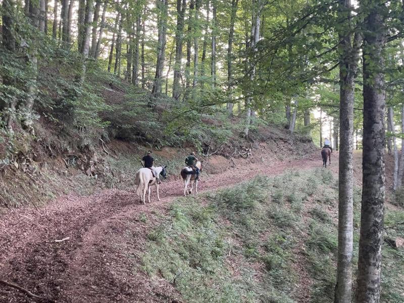 Illustration de l'événement : Deux journées à cheval