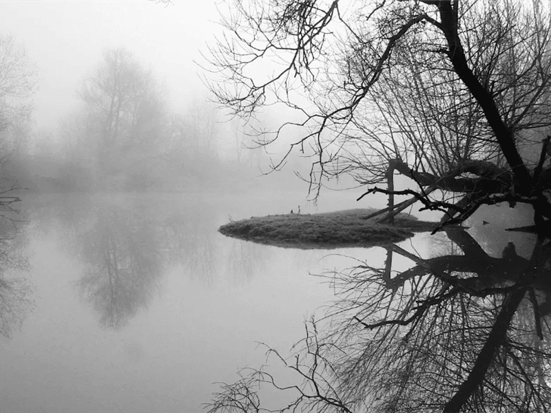 Illustration de l'événement : Conférence - Quels enjeux liés à l'eau