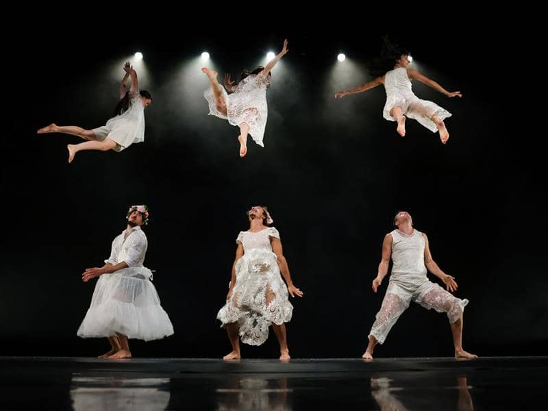 Illustration de l'événement : Spectacle de cirque - Orphées