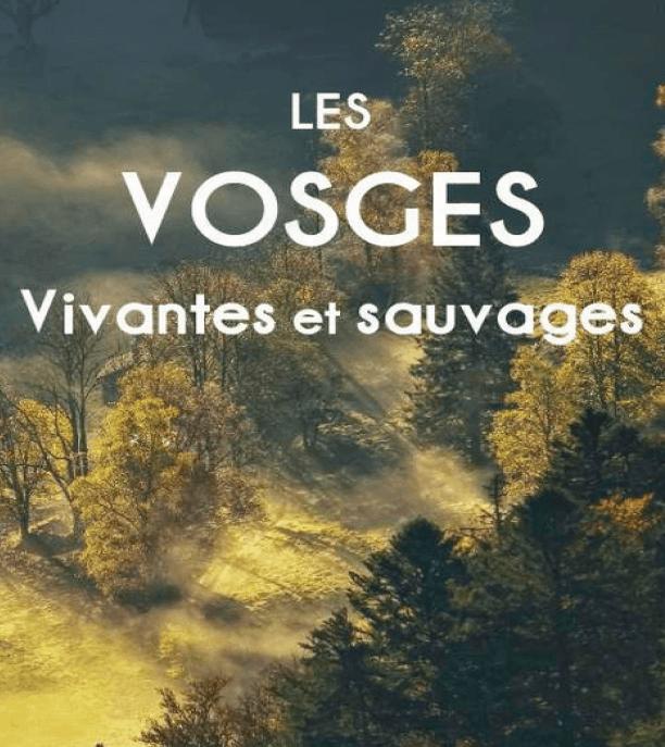 Illustration de l'événement : Conférence « Les Vosges Vivantes et Sauvages »
