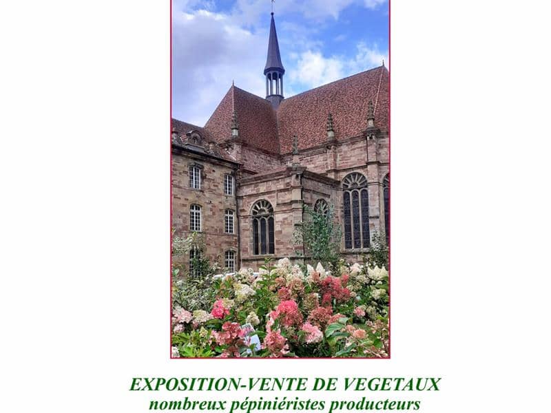 Illustration de l'événement : Plantes en fête à l'Abbaye d'Autrey