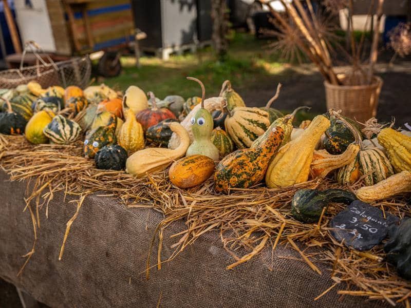 Illustration de l'événement : Marché d'automne