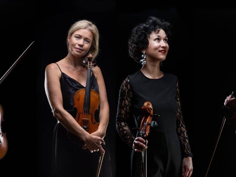 Illustration de l'événement : Concert - Aimez-vous Brahms?