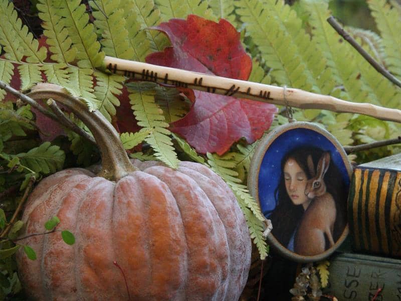 Illustration de l'événement : Halloween au pays des plantes sauvages