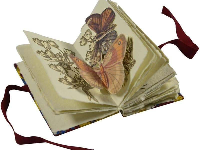 Illustration de l'événement : Livres d'artistes La nature à l'oeuvre