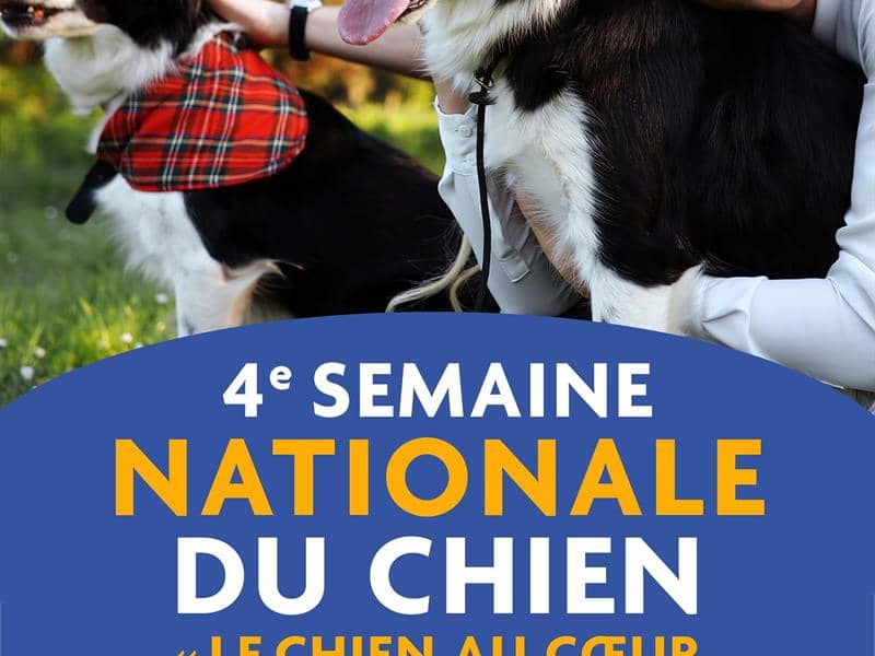 Illustration de l'événement : Semaine Nationale du Chien au Pays Thionvillois