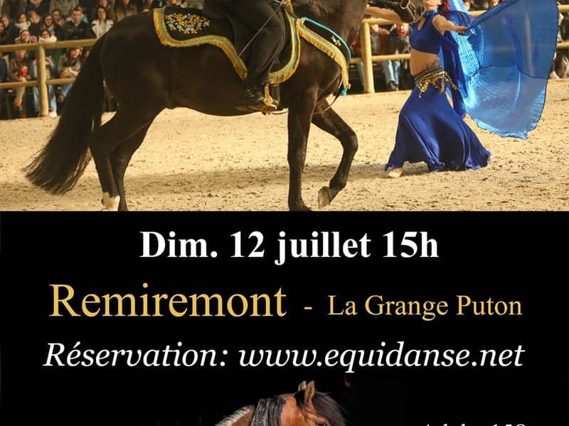 Illustration de l'événement : Spectacle EquiDanse