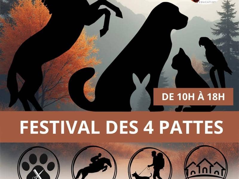 Illustration de l'événement : Festival des 4 Pattes
