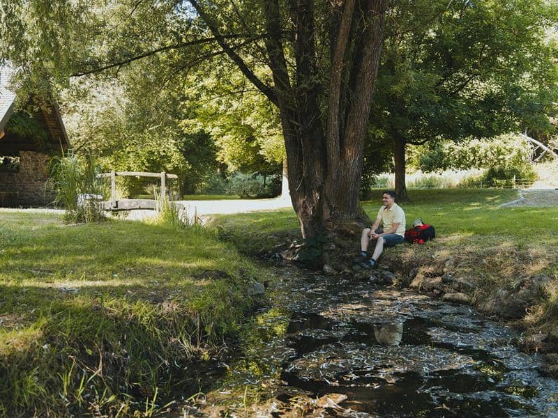 Illustration de l'événement : Les Rendez-vous Nature - Murmures, contes en musique