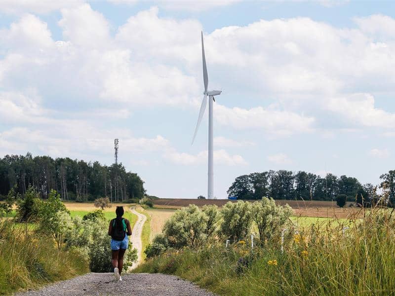 Illustration de l'événement : Les Rendez-vous Nature - Au pied des Éoliennes