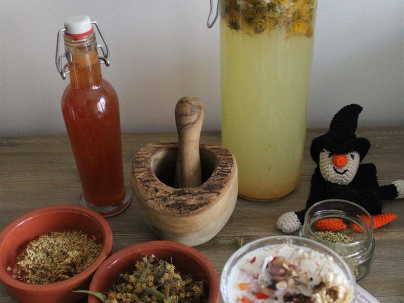 Illustration de l'événement : Festival Bêtes et Sorcières - Atelier en famille "Potions Magiques"