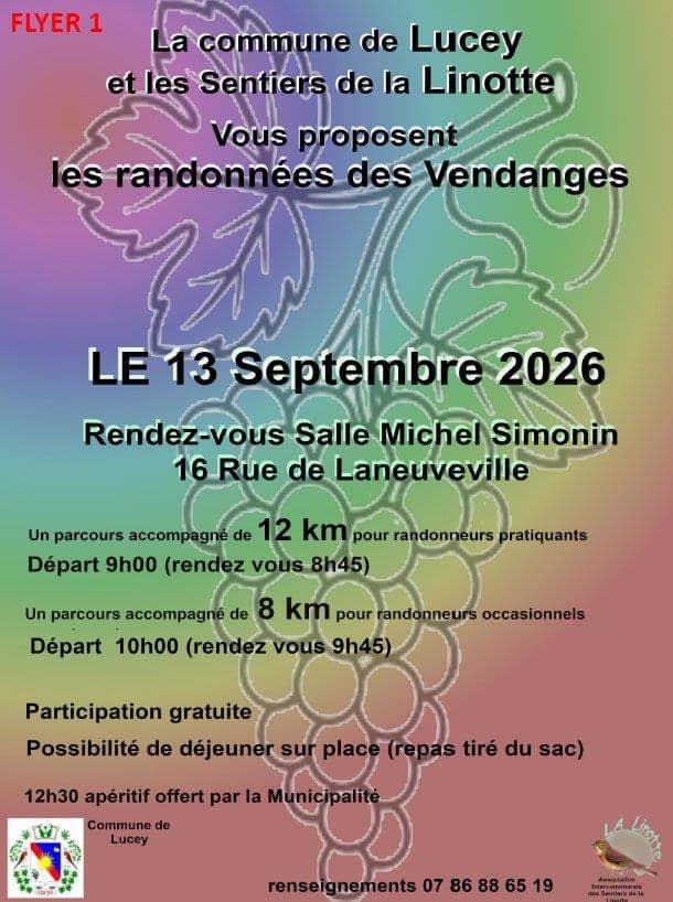 Illustration de l'événement : Randonnées des Vendanges
