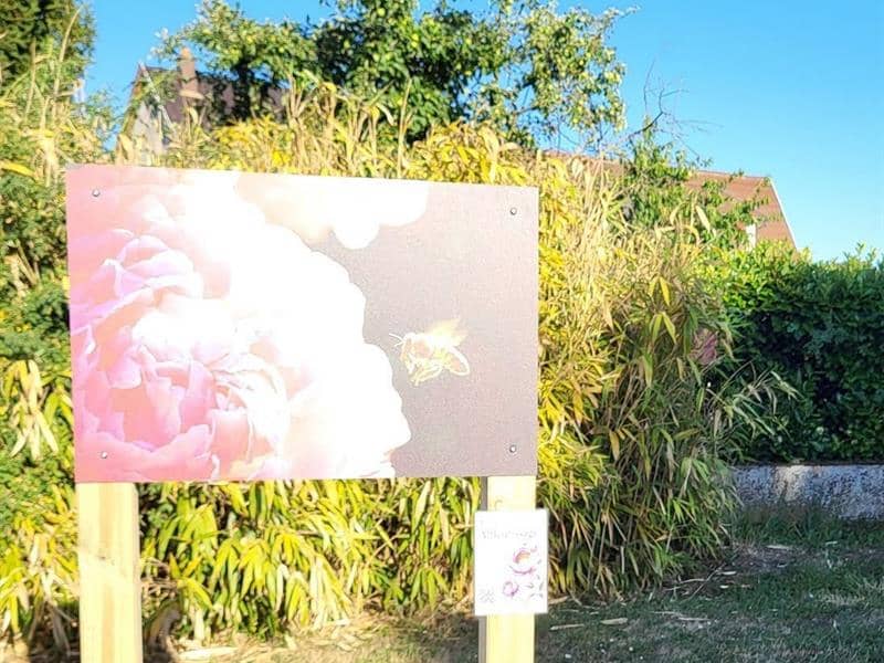 Illustration de l'événement : Exposition photographique : Poèmes de pollens