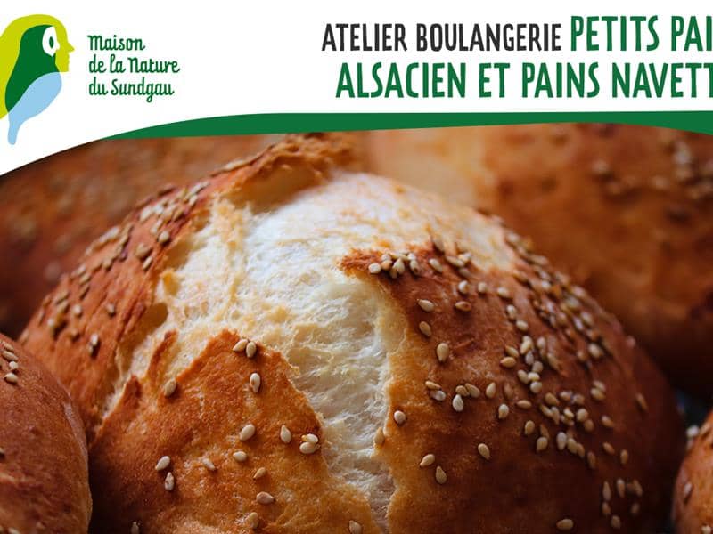 Illustration de l'événement : Atelier boulangerie - Petits pains alsaciens et pains navettes
