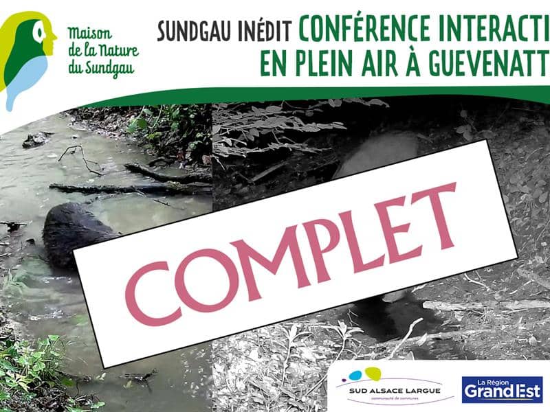 Illustration de l'événement : Conférence interactive à la découverte des rapaces nocturnes à Romagny