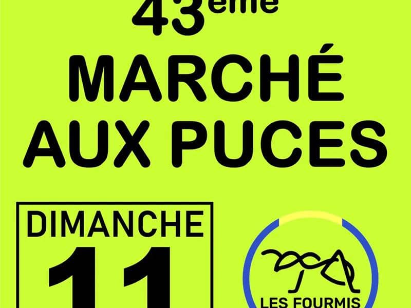Illustration de l'événement : 43ème marché aux puces de Fulleren