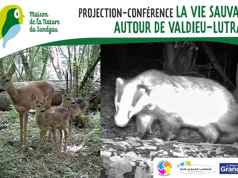 Illustration de l'événement : Projection - conférence : La vie sauvage autour de Valdieu-Lutran