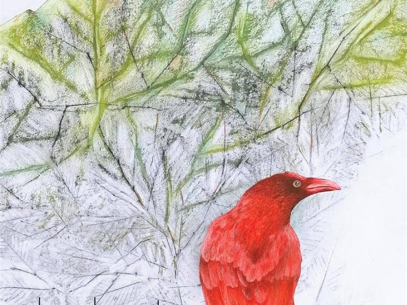 Illustration de l'événement : Exposition "Le Chant du ciel" à la Galerie Nicole Buck