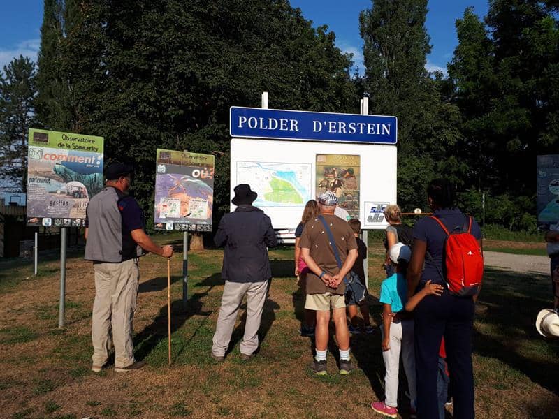 Illustration de l'événement : Visite guidée à la Réserve naturelle nationale de la Forêt d’Erstein