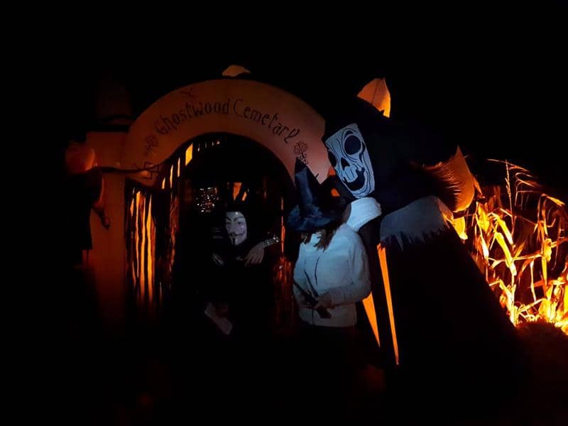 Illustration de l'événement : Labyrinthe nocturne spécial Halloween