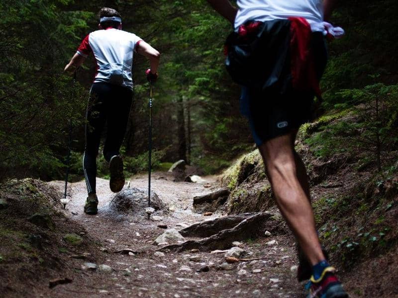 Illustration de l'événement : Trail "Les montées du Daubenschlag"