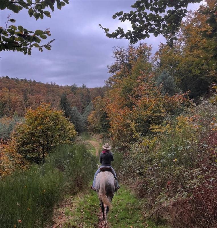 Illustration de l'événement : Balade à cheval automnale