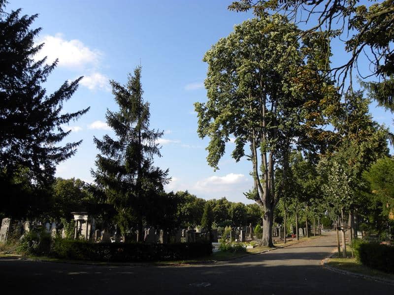 Illustration de l'événement : Visite guidée : le cimetière, entre art et histoire