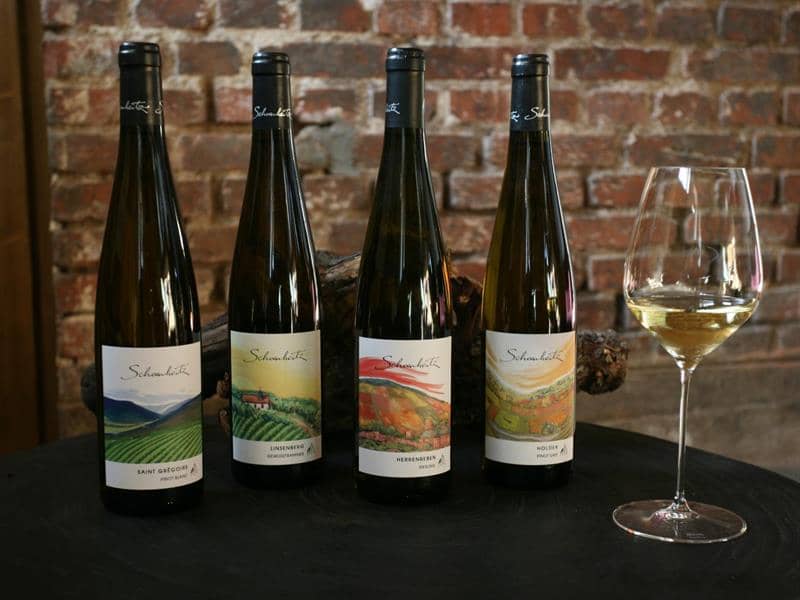 Illustration de l'événement : Vignoble en scène : "Crémant & art" au Domaine Schoenheitz