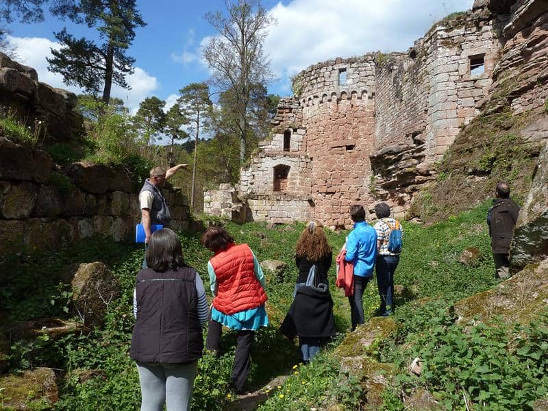 Illustration de l'événement : Visite guidée du château du Schoeneck
