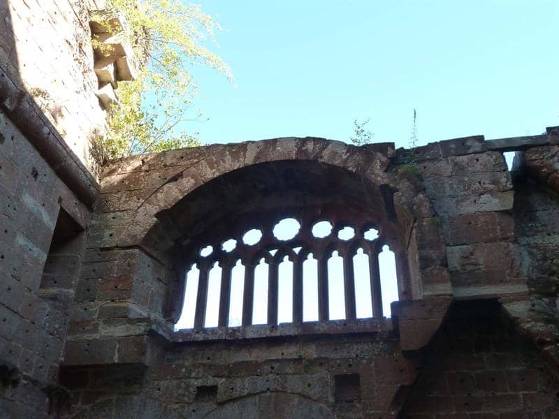 Illustration de l'événement : Visite guidée du château de la Wasenbourg