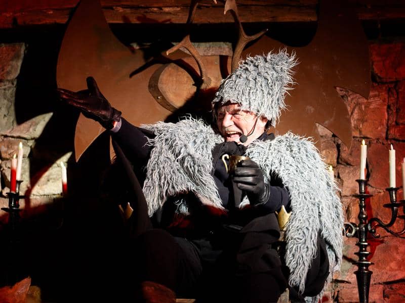 Illustration de l'événement : Spectacle déambulatoire de Noël : Le souffle des étoiles