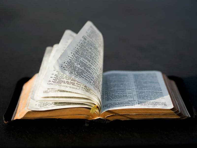 Illustration de l'événement : Animation biblique pour enfants