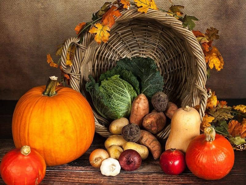 Illustration de l'événement : Marché d'automne