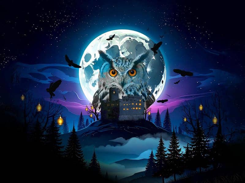 Illustration de l'événement : Halloween à la Volerie des aigles