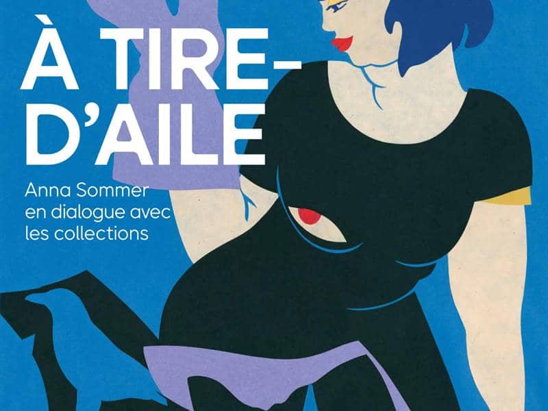 Illustration de l'événement : A tire-d'aile. Anna Sommer en dialogue avec les collections