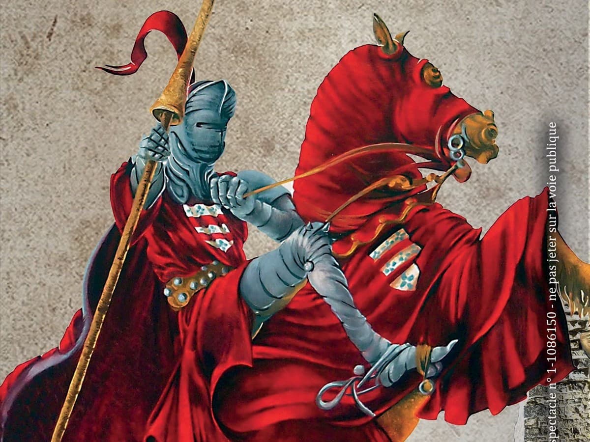 Illustration de l'événement : TOURNOIS DE CHEVALERIE ET SPECTACLE DE FAUCONNERIE