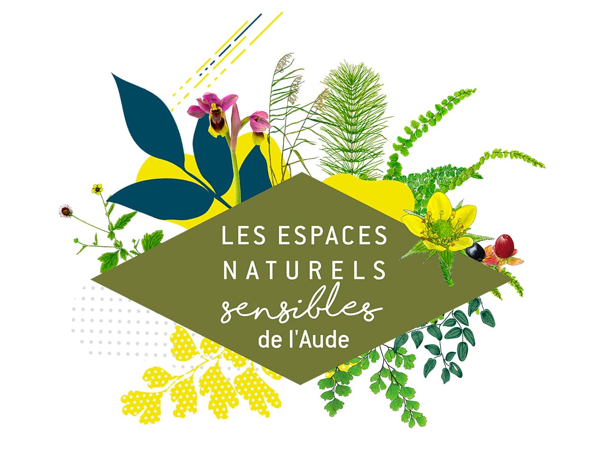 Illustration de l'événement : ENS - À LA DÉCOUVERTE DES TRÉSORS NATURELS DE LA PLANASSE