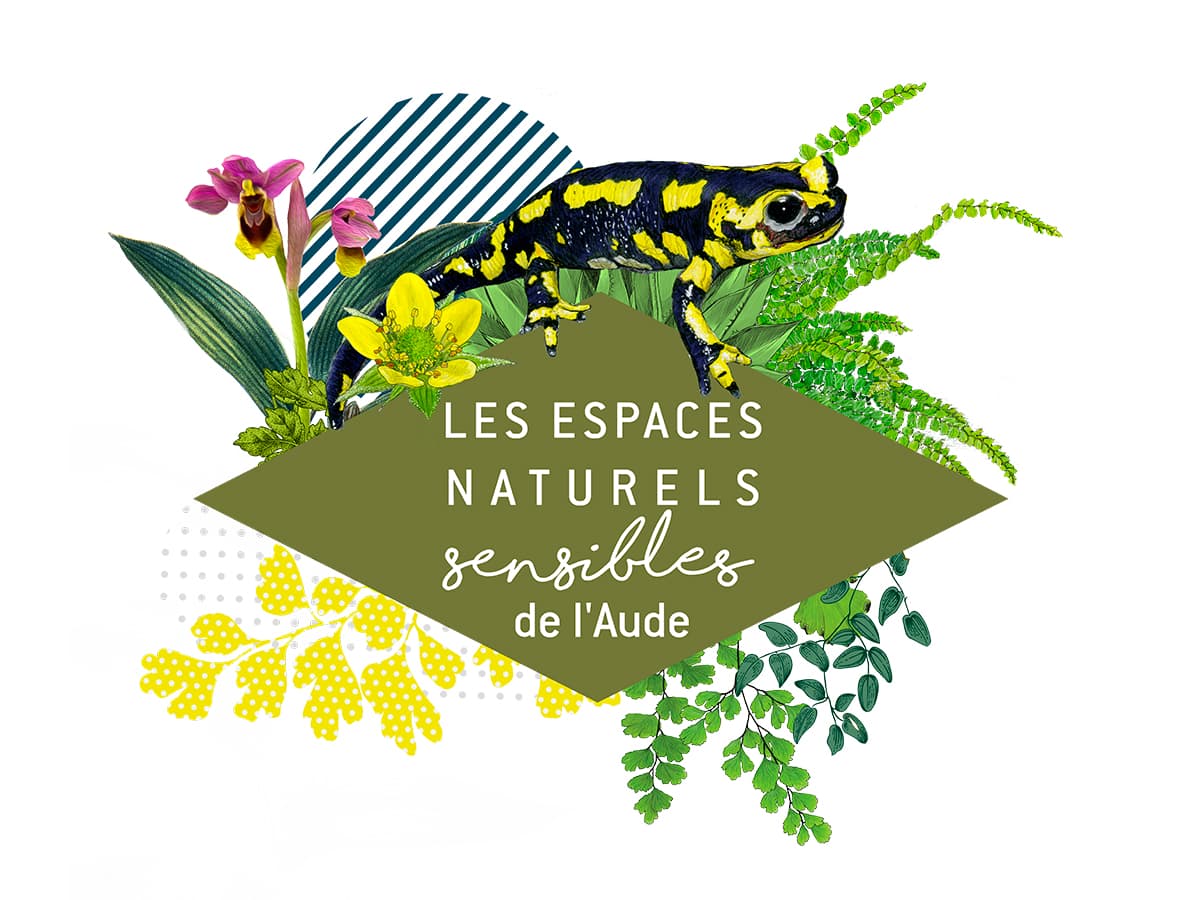 Illustration de l'événement : ENS - À LA RENCONTRE DES REPTILES