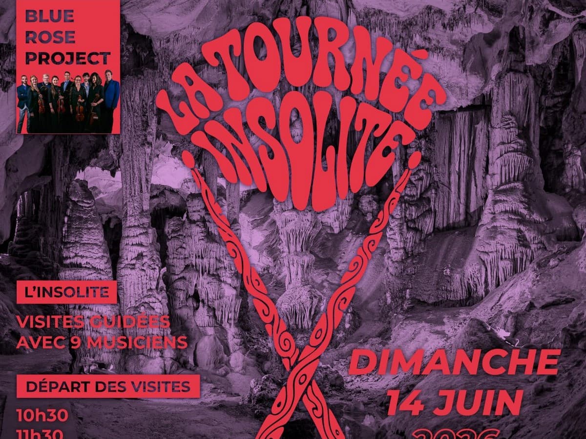 Illustration de l'événement : LA TOURNÉE INSOLITE - VISITES GUIDÉES MUSICALES