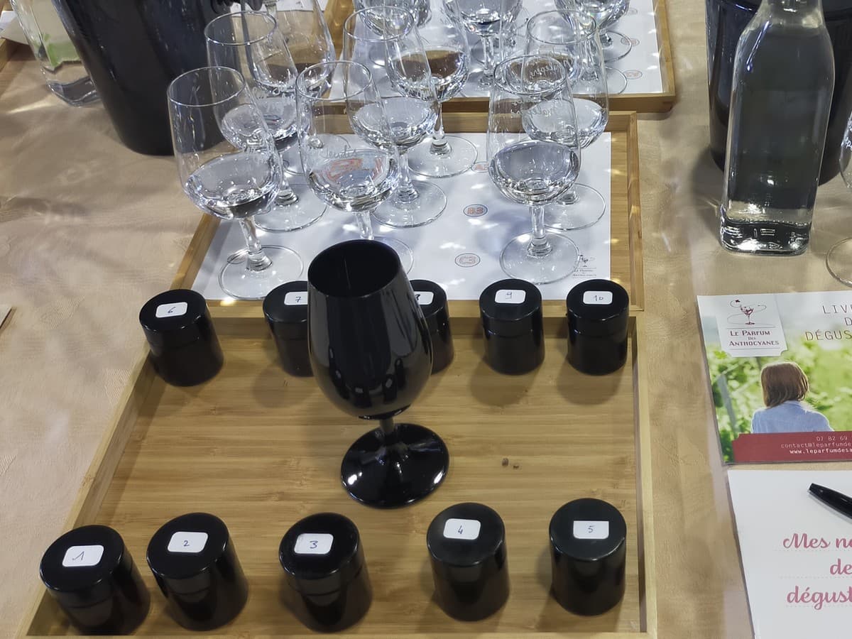 Illustration de l'événement : ATELIER DE DÉGUSTATION OENOLOGIQUE - LE PARFUM DES ANTHOCYANES